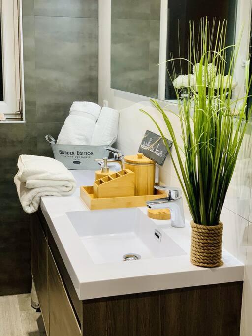 Apartamento Gite Cosy Au Coeur De L'Alsace Roggenhouse Exterior foto